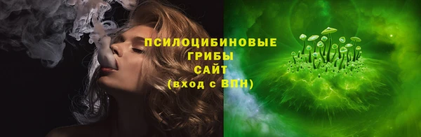 дживик Кинешма