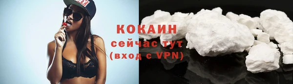 прущие грибы Киренск