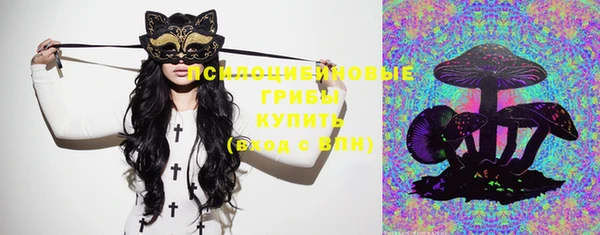 прущие грибы Киренск